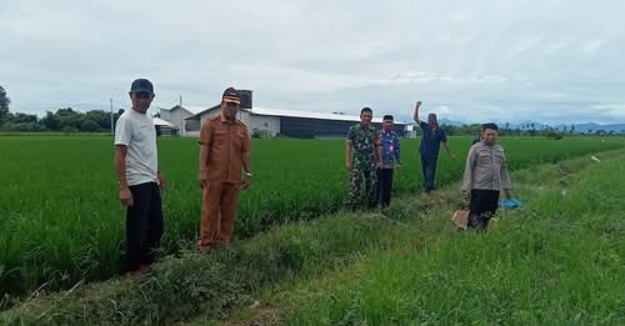 gerakan sistem tanaman padi demonstrasi plot organik seventani dikunjungi dinas DTPHPKP TAKALAR ke desa campagaya 