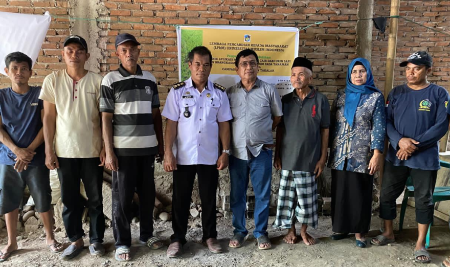 lembaga pengabdian kepada masyarakat petani di campagaya dosen pertanian umi Makassar hadir dalam kemitraan memberikan teknik aplikasi pupuk organik cair dari bio urine sapi dan brangkasan jagung 